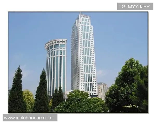 武汉排球队的奋斗历程与荣耀时刻全景纪实